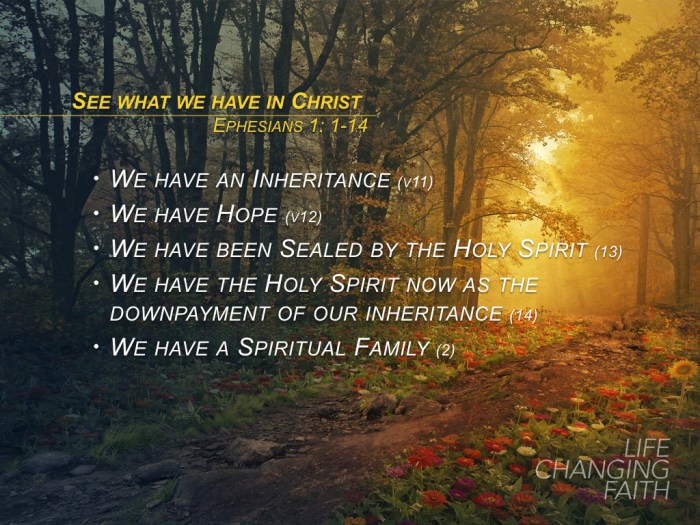 LCF PointsBullets.003