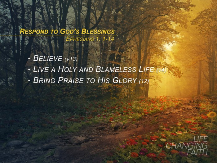 LCF PointsBullets.004